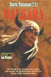 Image for WALKARA - Storm Testament VII