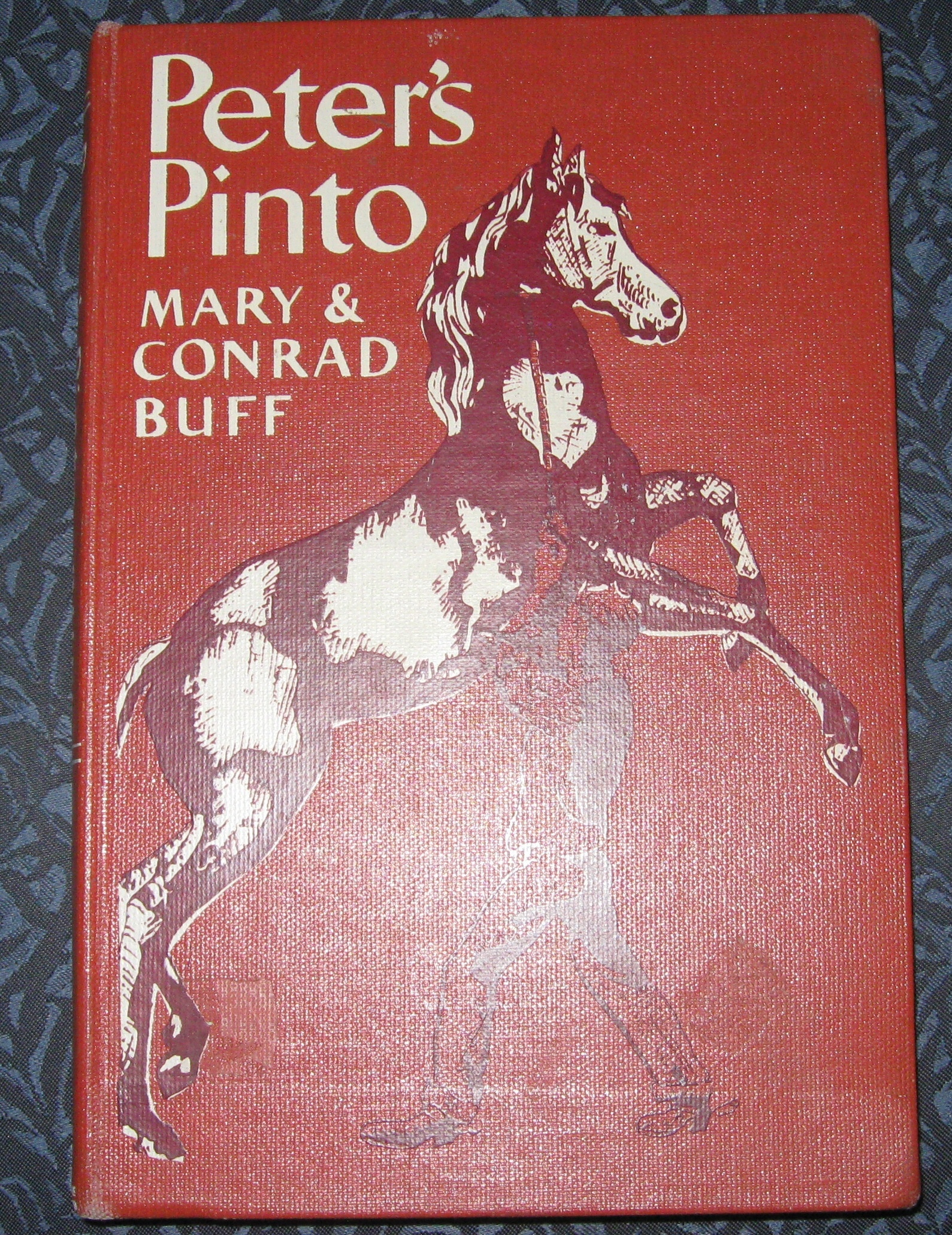 Image for PETER'S PINTO, A Story of Utah