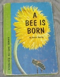 Image for A BEE IS BORN