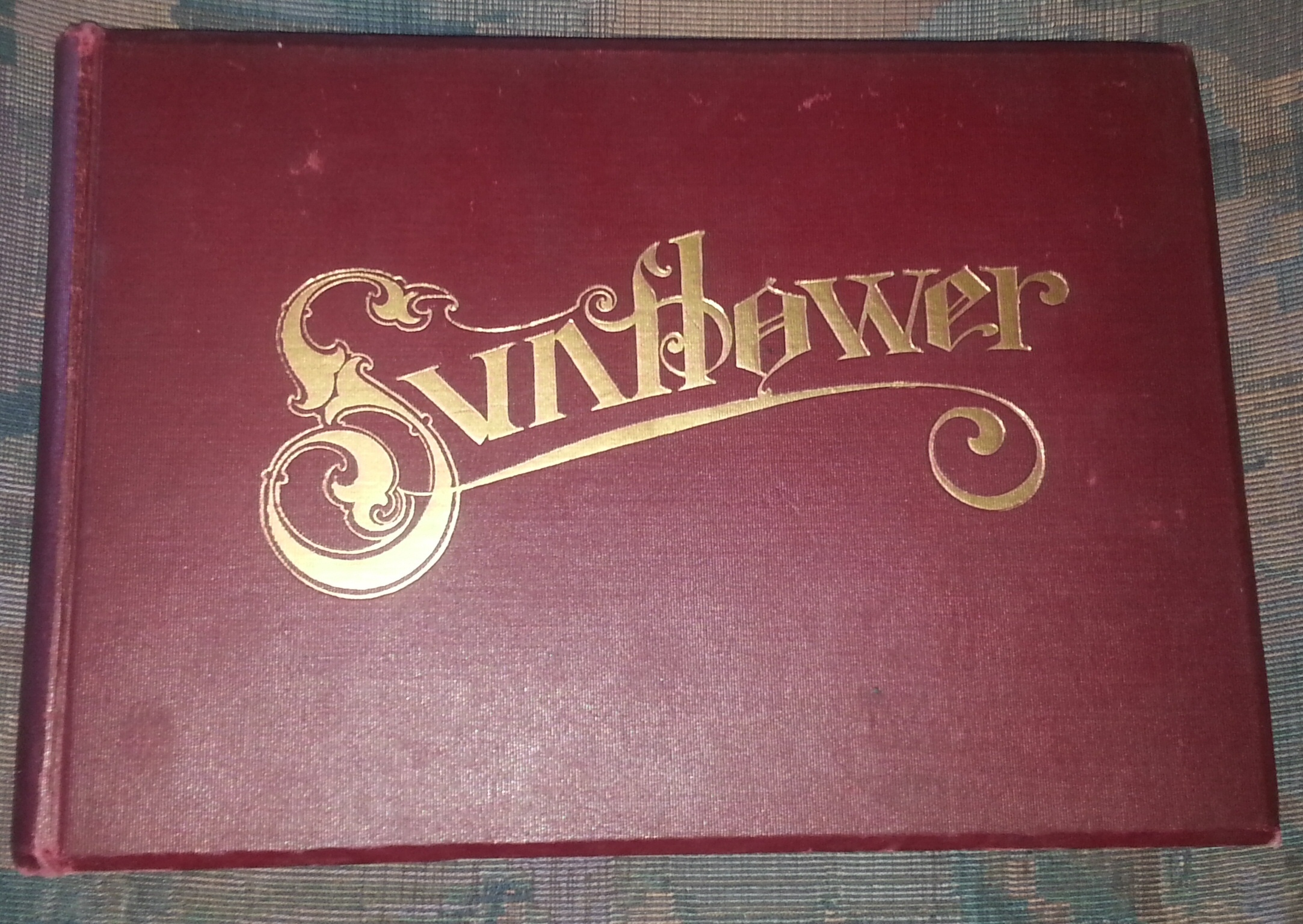 Image for THE SUNFLOWER - 1911 - Kansas State Normal School