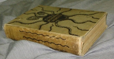 Image for THE MORMON MONSTER - Or, the Story of Mormonism