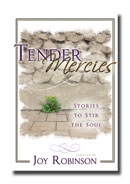 Image for Tender Mercies Stories to Stir the Soul