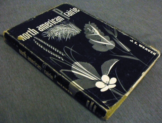 Image for North American Prairie