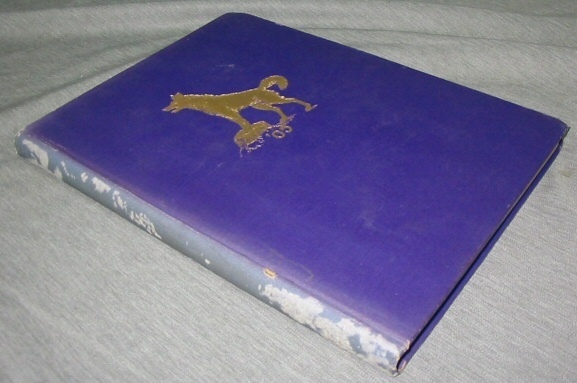 Image for Coyote - 1905 - University of South Dakota
