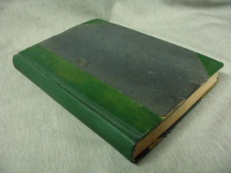 Image for The Young Woman's Journal - 1901