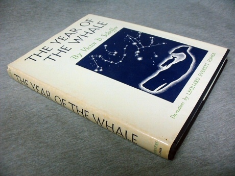 Image for The Year of the Whale