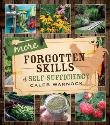 Image for More Forgotten Skills of Self-Sufficiency