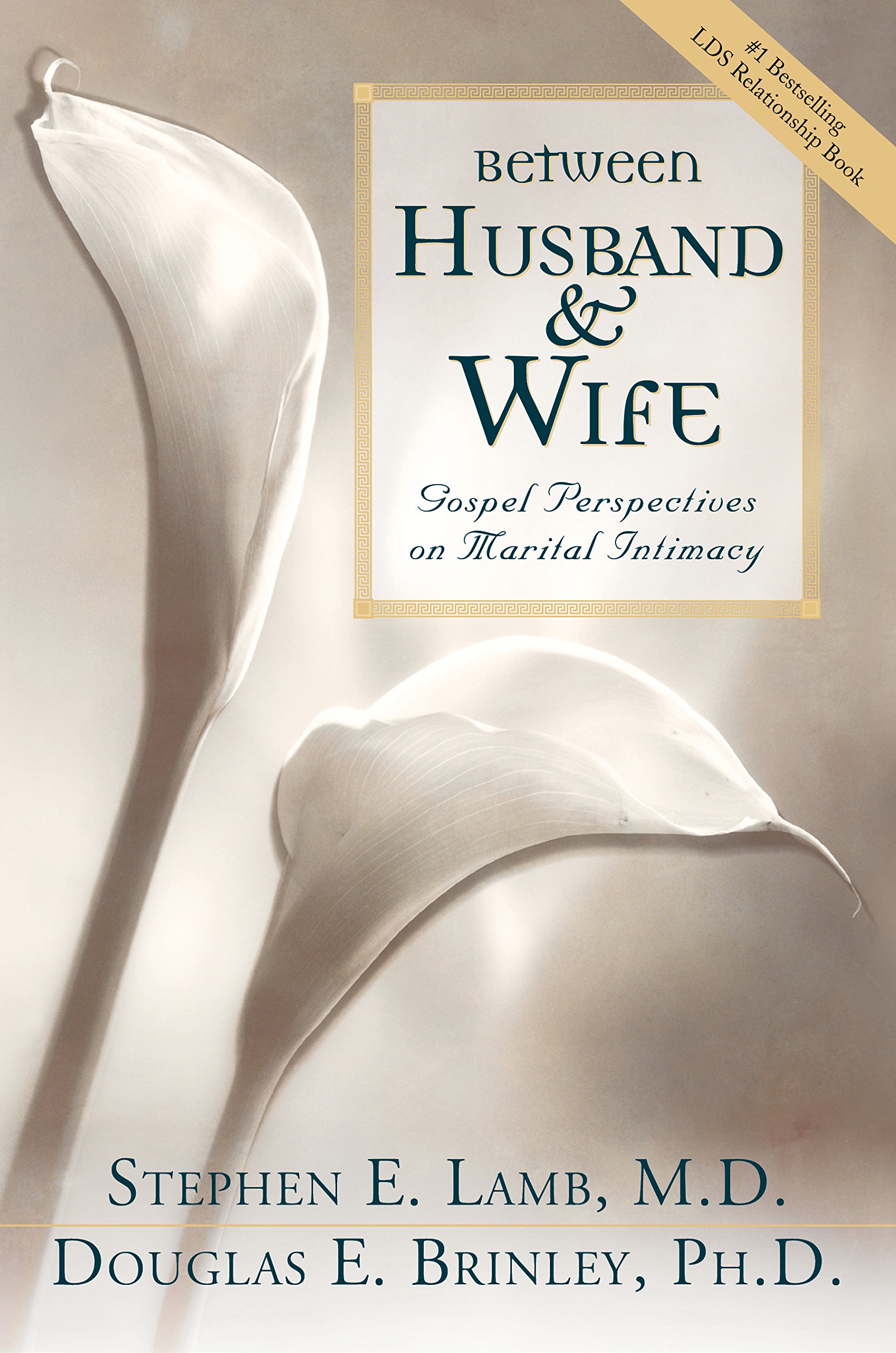 Image for BETWEEN HUSBAND AND WIFE - Gospel Perspectives on Marital Intimacy