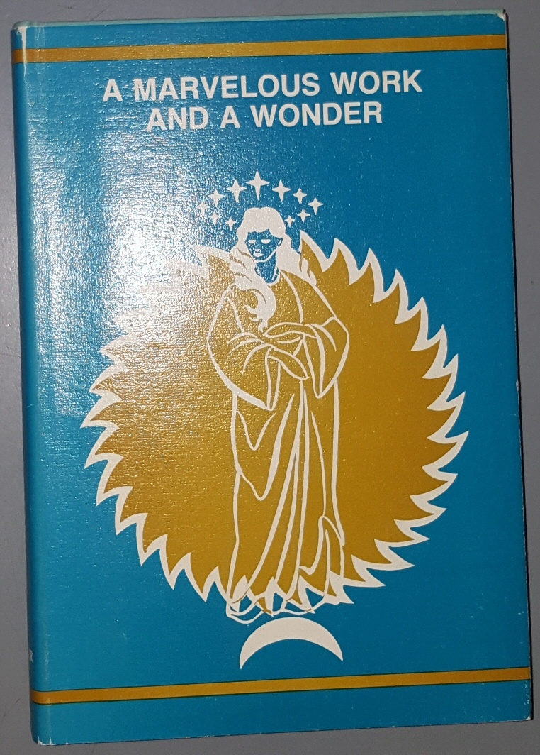 Image for A Marvelous Work and a Wonder
