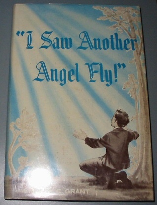 Image for I SAW ANOTHER ANGEL FLY