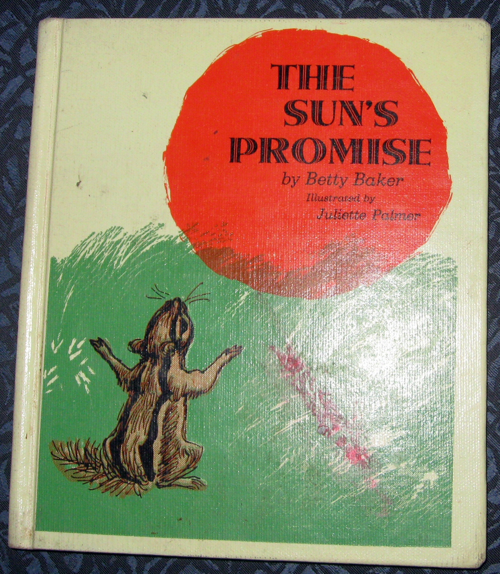 Image for THE SUN'S PROMISE