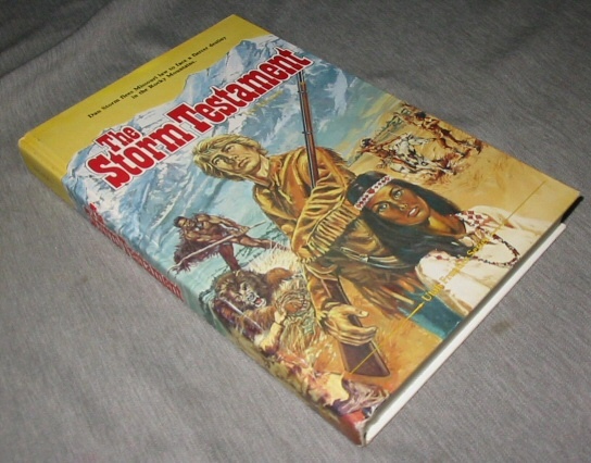 Image for THE STORM TESTAMENT - Vol I -