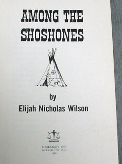 Image for AMONG THE SHOSHONES