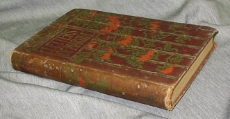 Image for LETTERS OF MARQUE