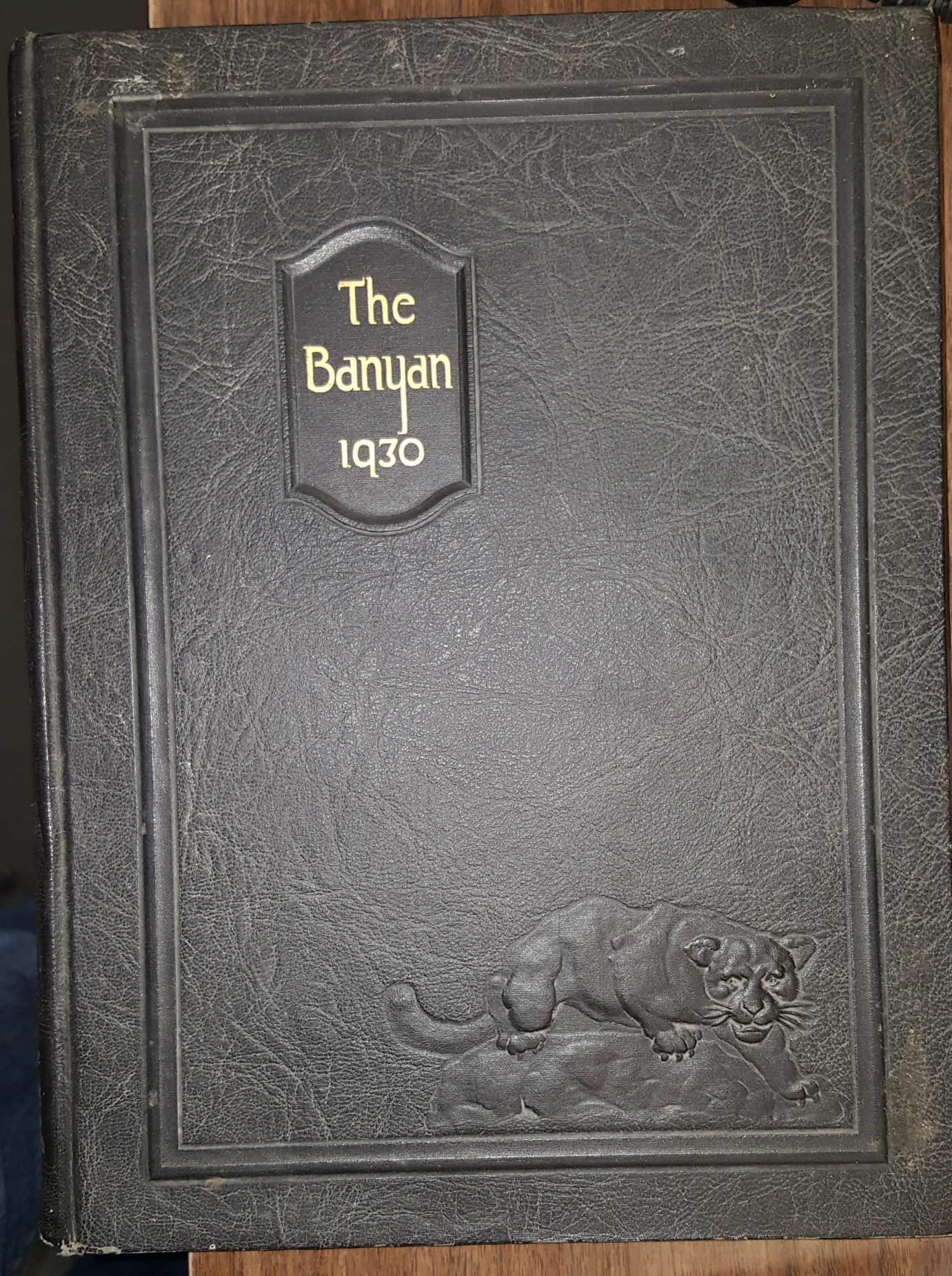 Image for BANYAN - 1930 BRIGHAM YOUNG UNIVERSITY - Mormon School in Provo Utah