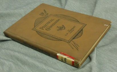 Image for PRACTICAL CO-OPERATION - A series of essays looking to the amelioration of the workingman's industrial and social condition