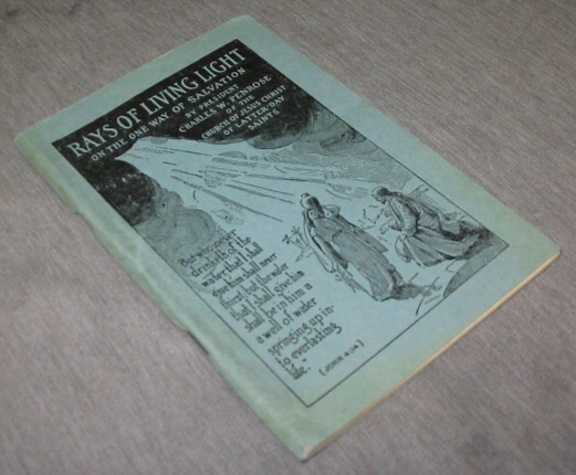 Image for RAYS OF LIVING LIGHT On the One Way of Salvation