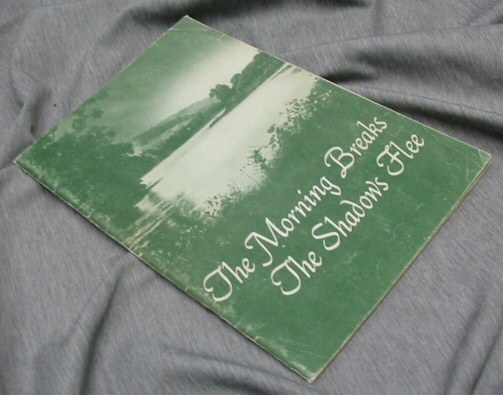 Image for THE MORNING BREAKS THE SHADOWS FLEE