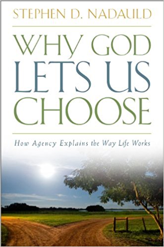 Image for Why God Lets Us Choose - How Agency Explains the Way Life Works