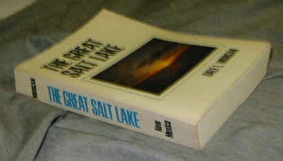 Image for THE GREAT SALT LAKE