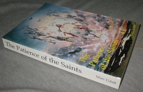Image for THE PATIENCE OF THE SAINTS - A Hypothesis Based on the Revelation of John the Beloved.