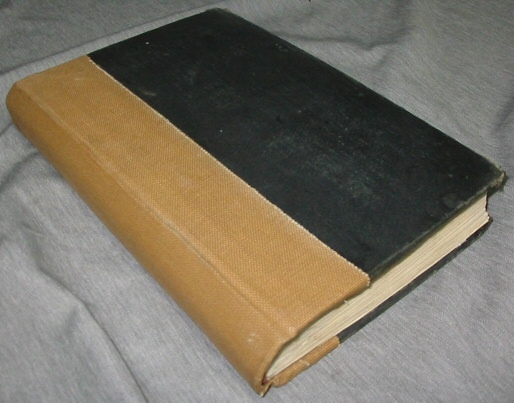 Image for Young Woman's Journal - Organ of the Young Ladies' Mutual Improvement Associations