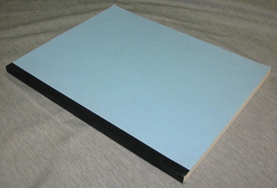 Image for A Few Words about the Obedience to the Mormon Law of Tithing - A Private Notebook