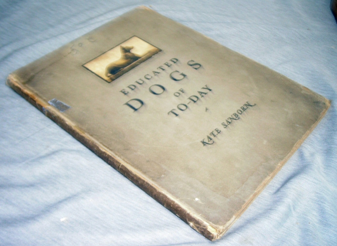 Image for Educated Dogs of To-Day - An Illustrated Record of Canine Intelligence Marking an Advance with the Modern Movement of Man