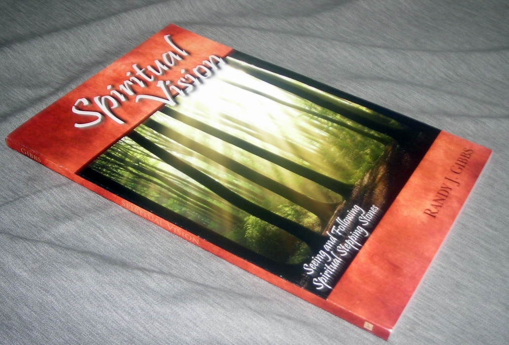 Image for Spiritual Vision - Seeing and Following Spiritual Stepping Stones