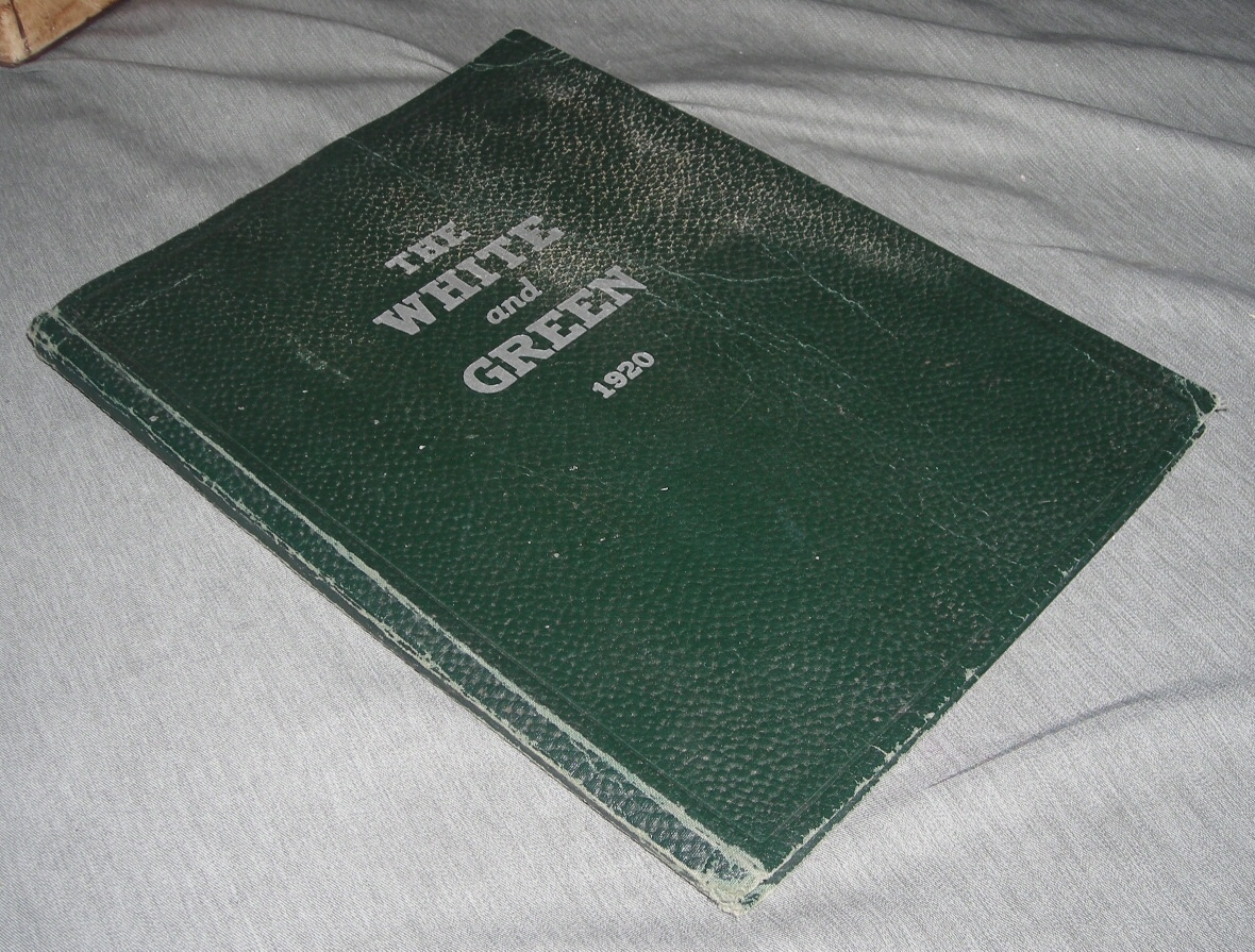 Image for THE White and Green - Provo (Utah) High School Yearbook 1920