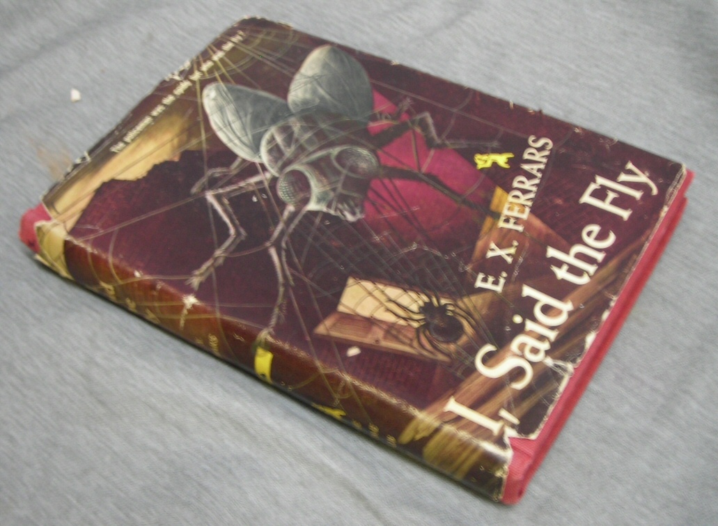 Image for I, Said the Fly