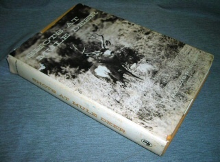 Image for Shots at Mule Deer