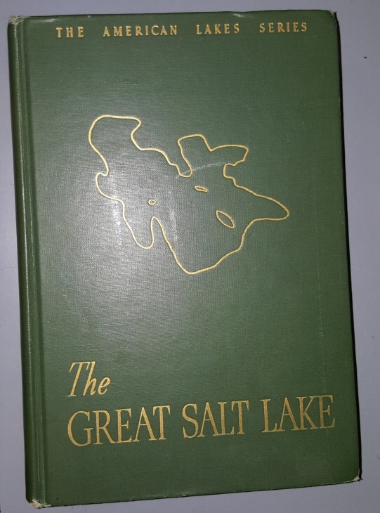 Image for THE GREAT SALT LAKE