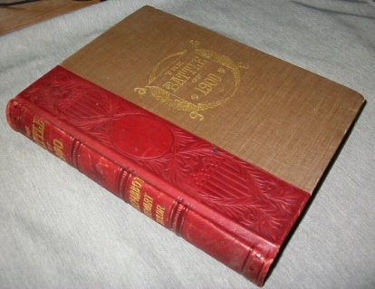 Image for The Battle of 1900 - an Official Handbook for Every American Citizen