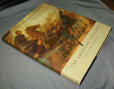 Image for Struggle for a Vast Future - The American Civil War