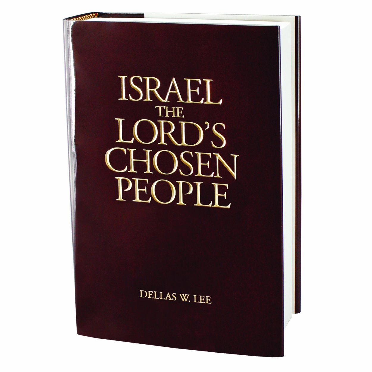 Image for Israel, The Lord's Chosen People