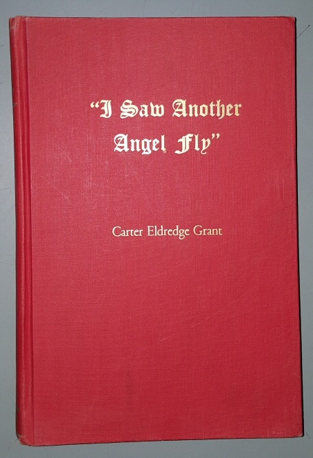 Image for I SAW ANOTHER ANGEL FLY
